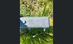 Majava VT 1350 Classic-kuva-5